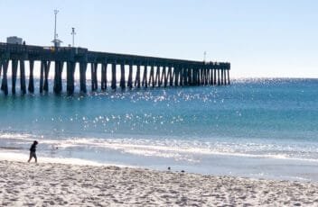 See what the beach looks like right now through a Panama City Beach Webcam